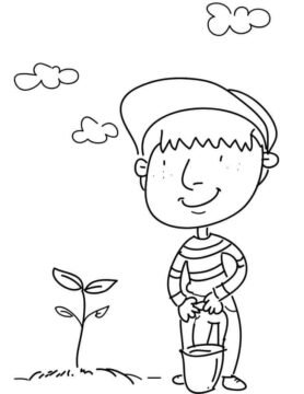 Dibujo de Plantar un árbol para Colorear