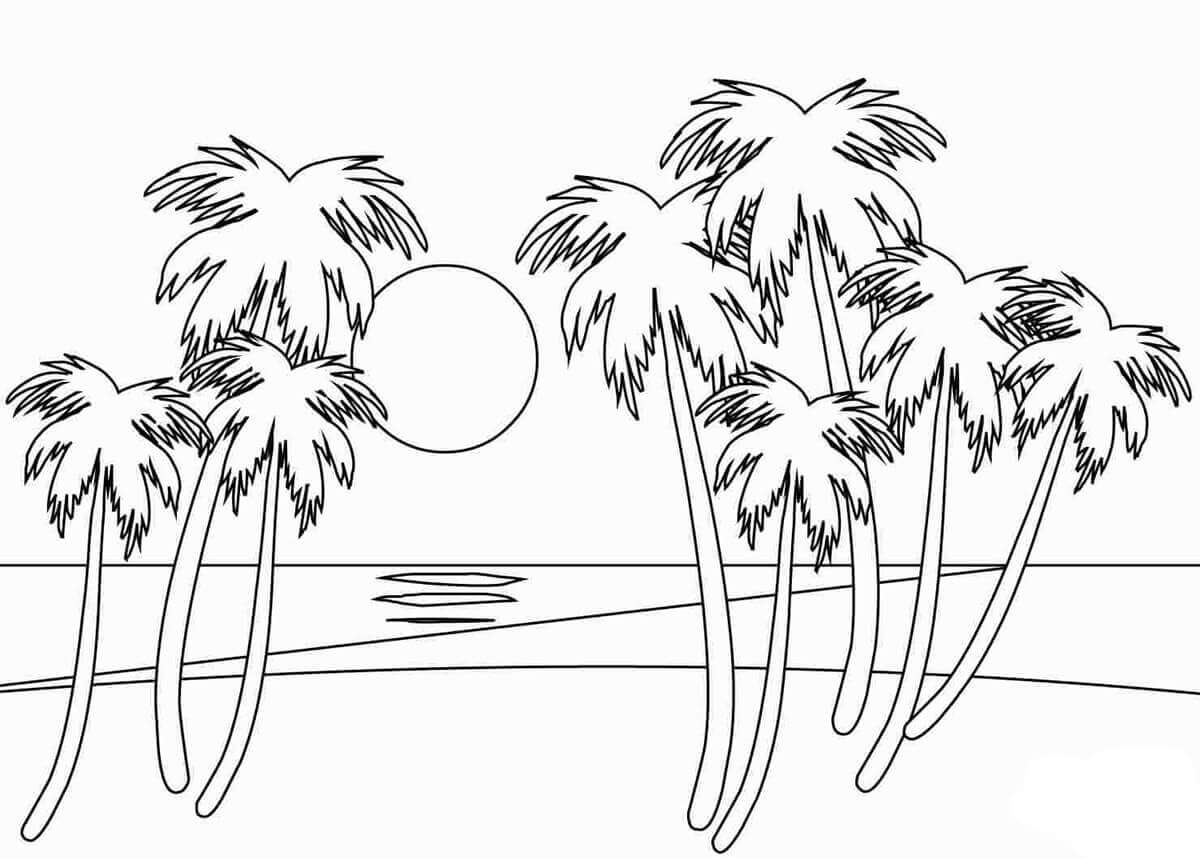 Dibujo de Puesta de Sol y Palmera para Colorear