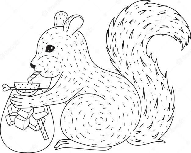Dibujo de Ardilla Bebiendo Cctel para Colorear