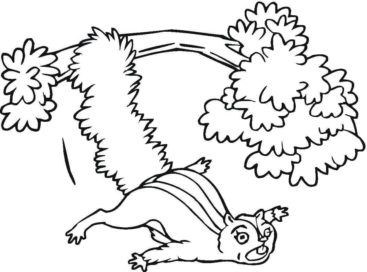 Dibujo de Ardilla Cayendo del Rbol para Colorear