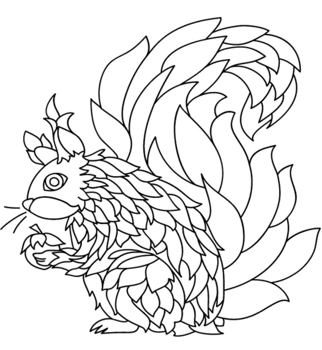 Dibujo de Ardilla Dura para Colorear
