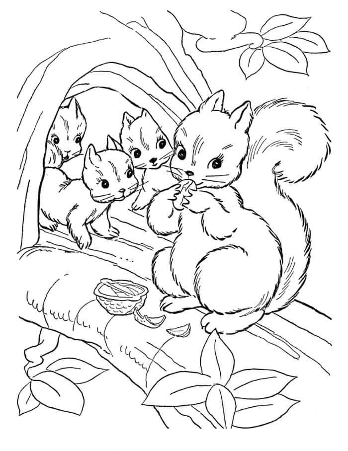 Dibujo de Ardilla Familiar para Colorear