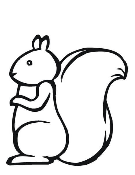 Dibujo de Ardilla Fcil para Colorear