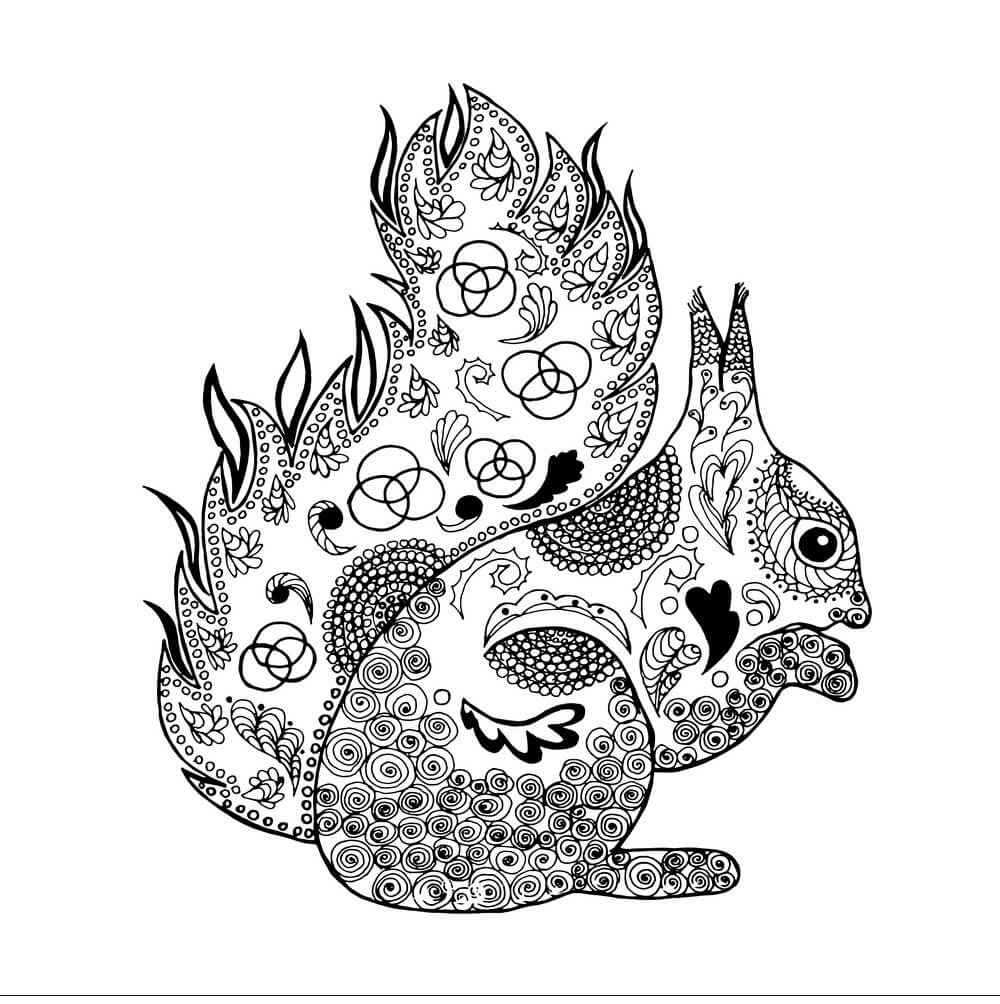 Dibujo de Ardilla Imprimible para Colorear