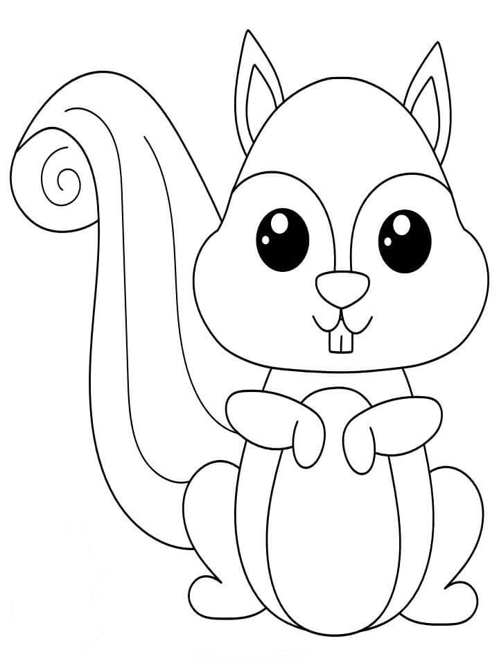 Dibujo de Ardilla Perfecta para Colorear