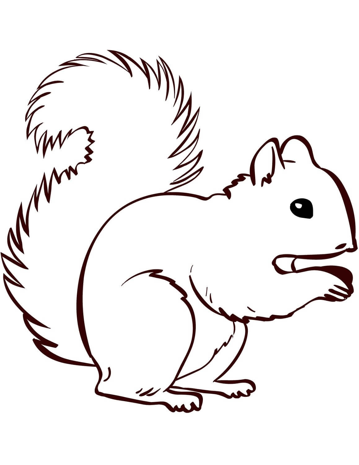 Dibujo de Ardilla Simple para Colorear