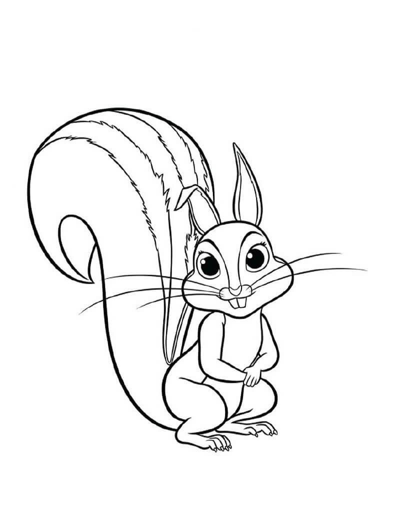 Dibujo de Ardilla Sonriendo para Colorear