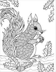 Dibujo de Ardilla Zentangle para Colorear