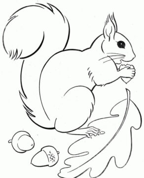 Dibujo de Ardilla y Bellota con Hoja para Colorear