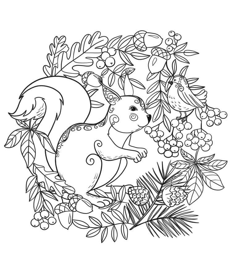 Dibujo de Ardilla y Pjaro con Hoja para Colorear
