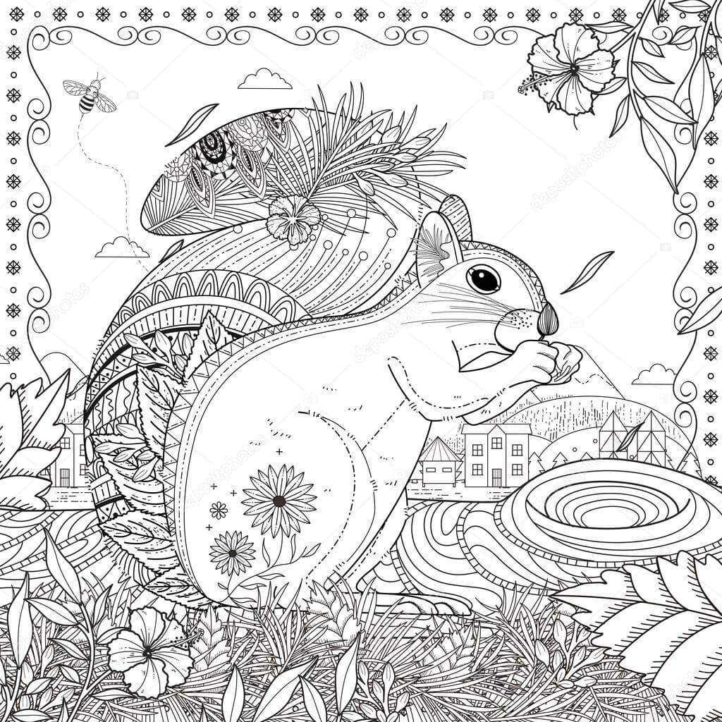 Dibujo de La Ardilla Es para Adulto para Colorear