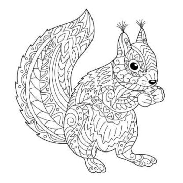 Dibujo de Mandala de Ardilla para Colorear