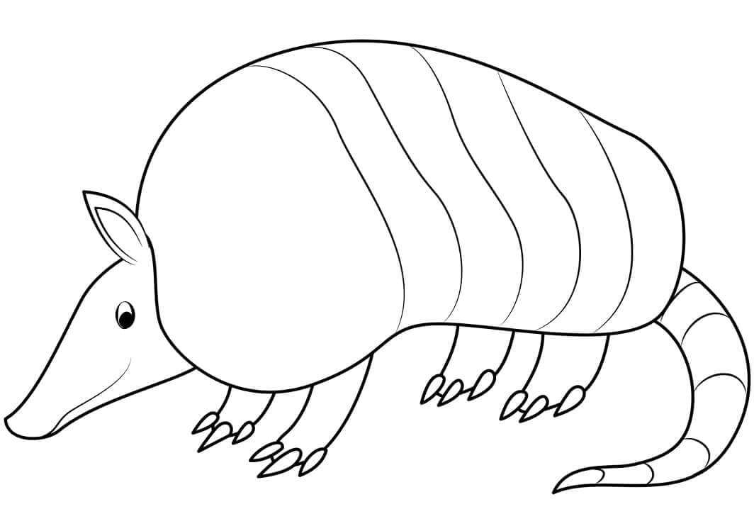 Dibujo de Armadillo 1 para Colorear