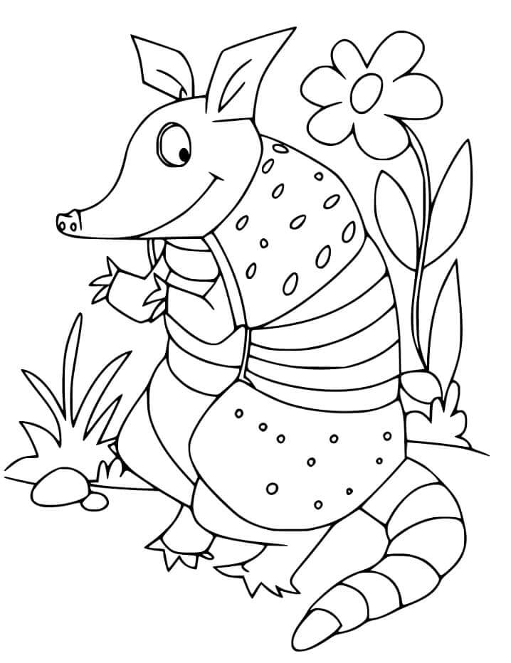 Dibujo de Armadillo Animado para Colorear
