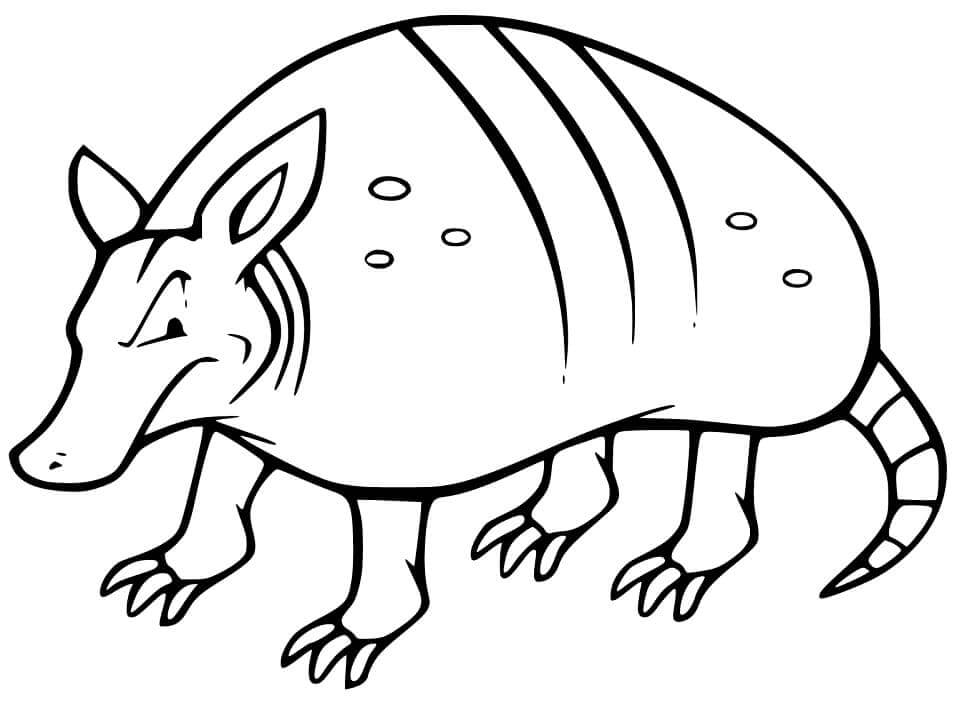 Dibujo de Armadillo Enojado para Colorear