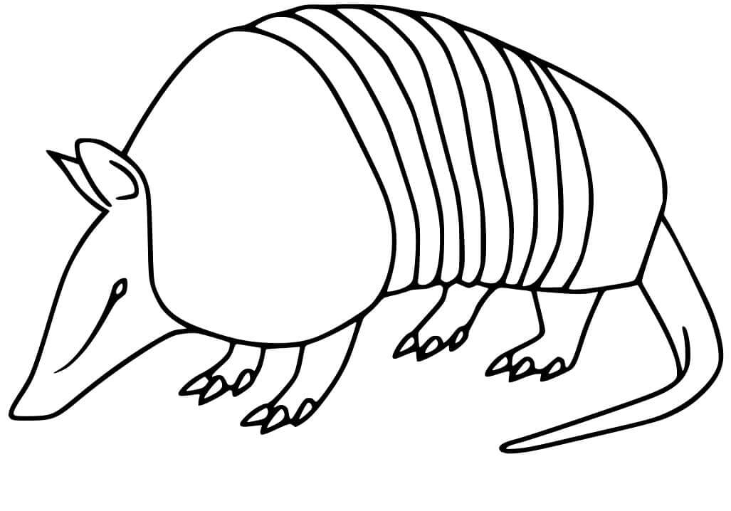 Dibujo de Armadillo Fcil para Colorear
