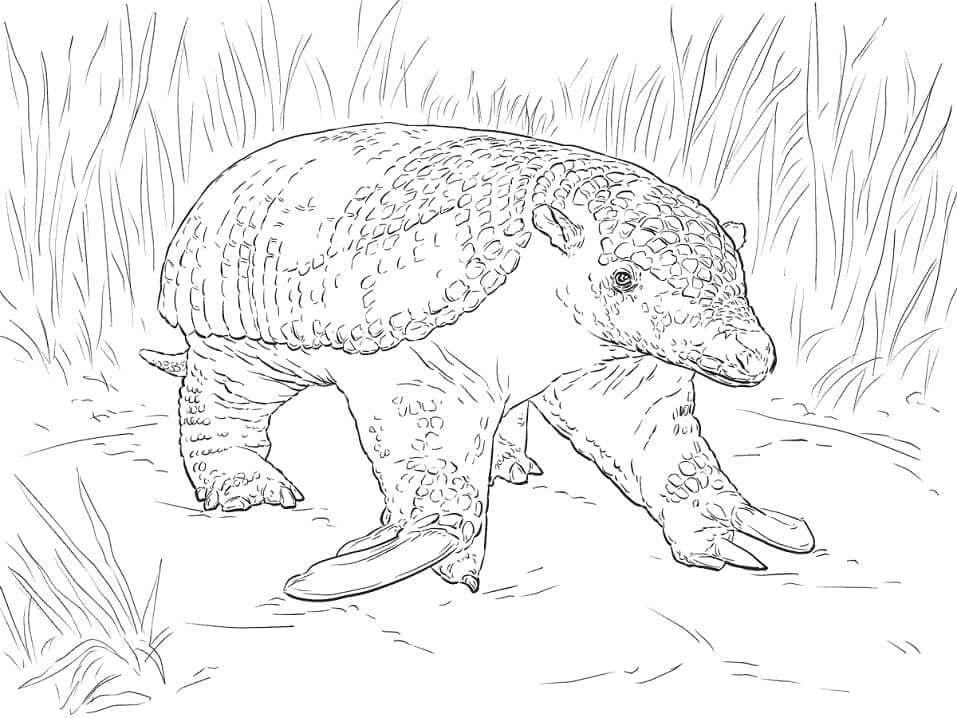 Dibujo de Armadillo Gigante Realista para Colorear