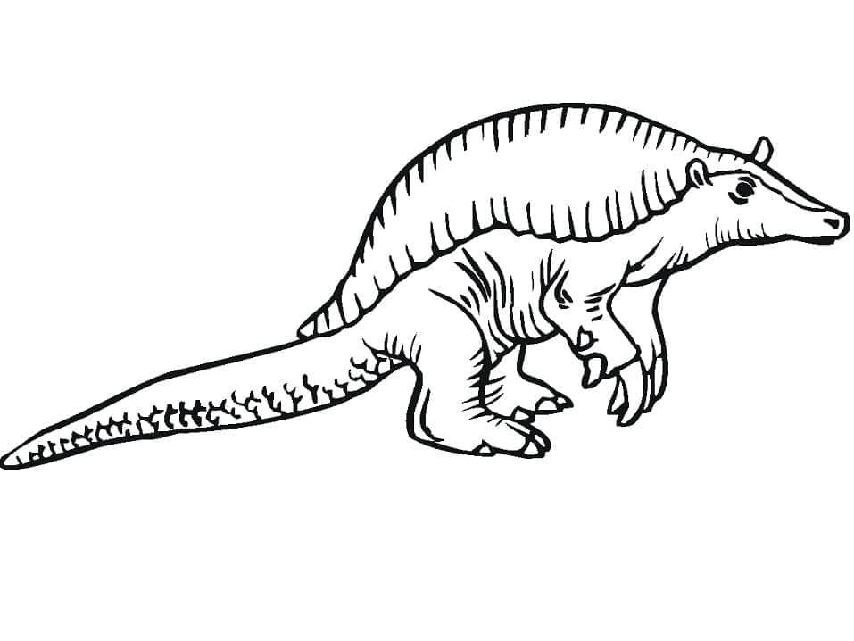 Dibujo de Armadillo Gigante para Colorear