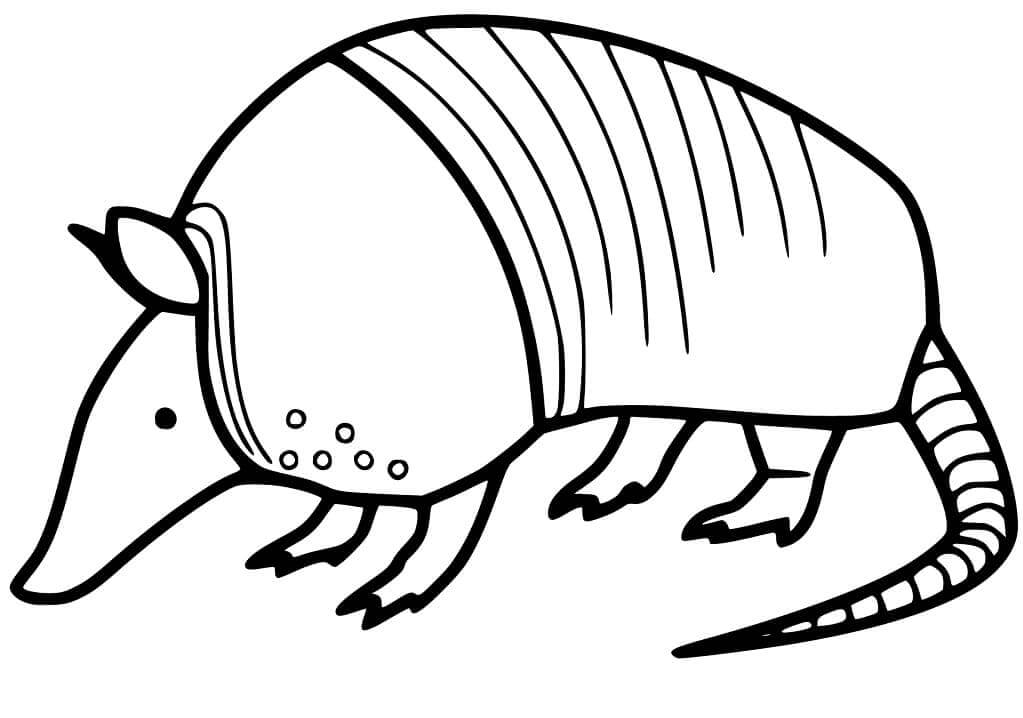 Dibujo de Armadillo Gordo para Colorear