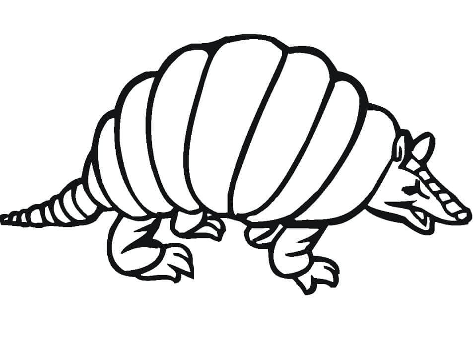 Dibujo de Armadillo Gratis para Colorear