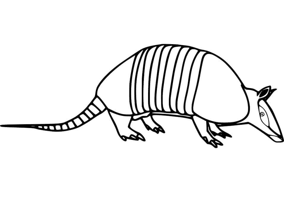 Dibujo de Armadillo Imprimible para Colorear