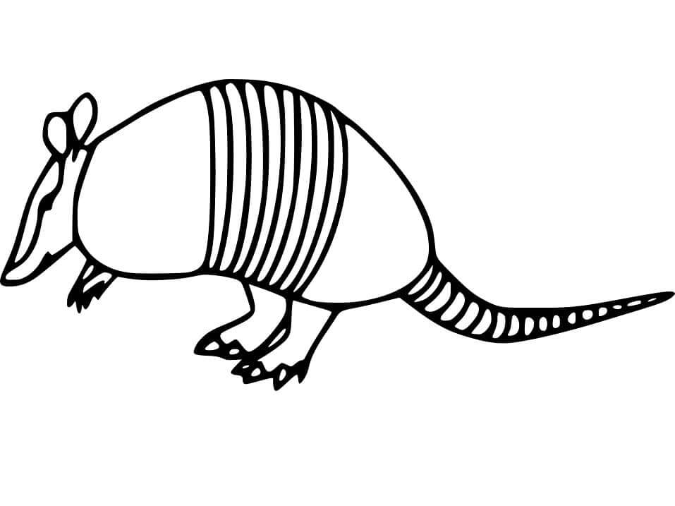 Dibujo de Armadillo Simple de Pie para Colorear