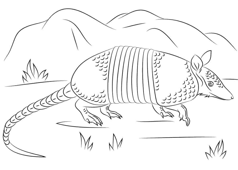Dibujo de Armadillo con Montaa para Colorear