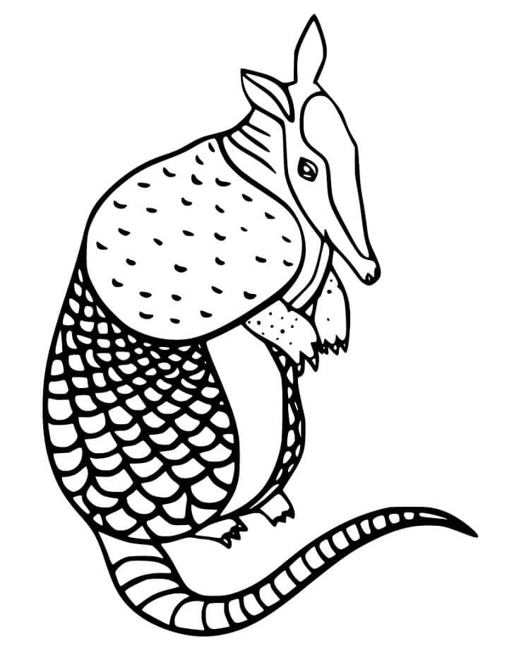 Dibujo de Armadillo de Pie para Colorear