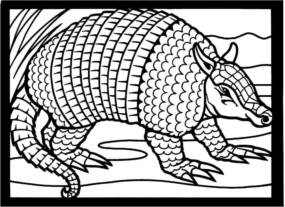 Dibujo de Armadillo de Texas para Colorear