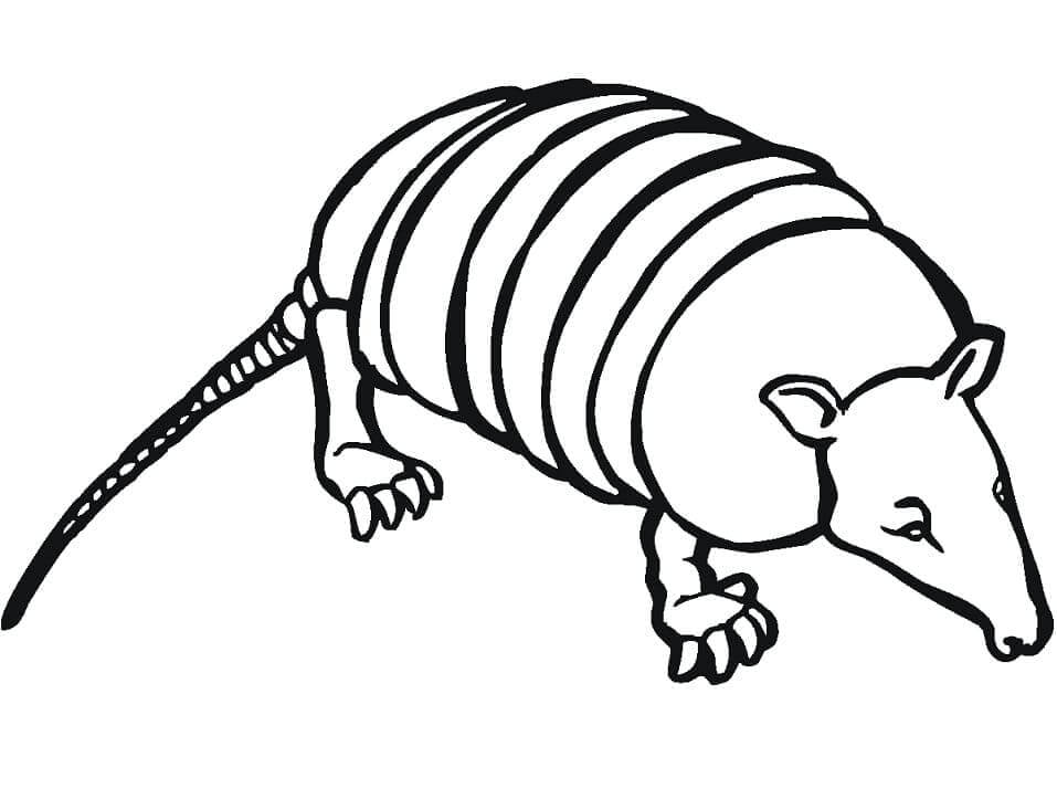 Dibujo de Armadillo para Imprimir Gratis para Colorear