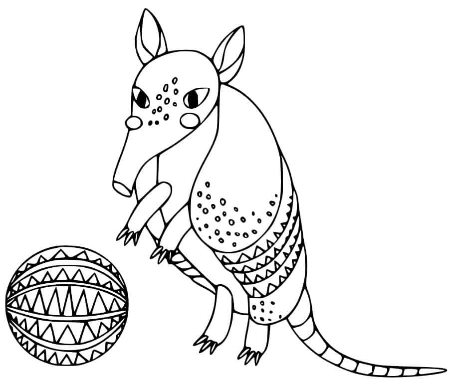 Dibujo de Armadillo y Ball para Colorear