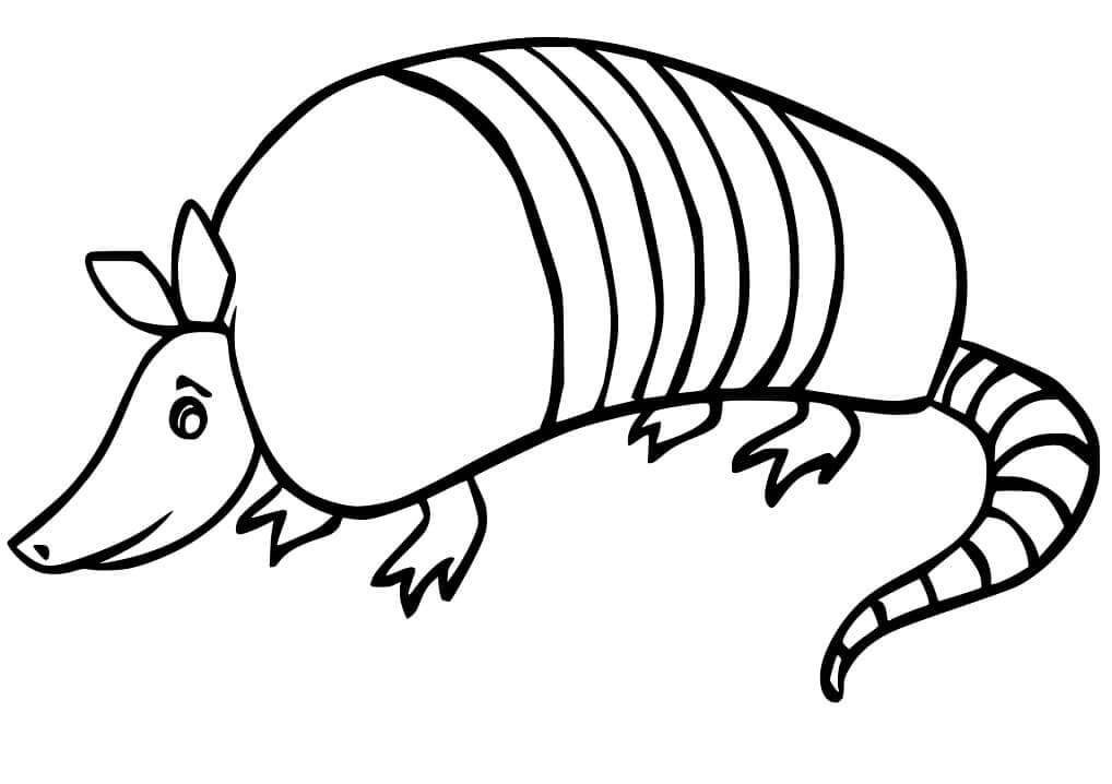 Dibujo de Armadillo para Colorear