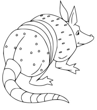Dibujo de Gran Armadillo para Colorear
