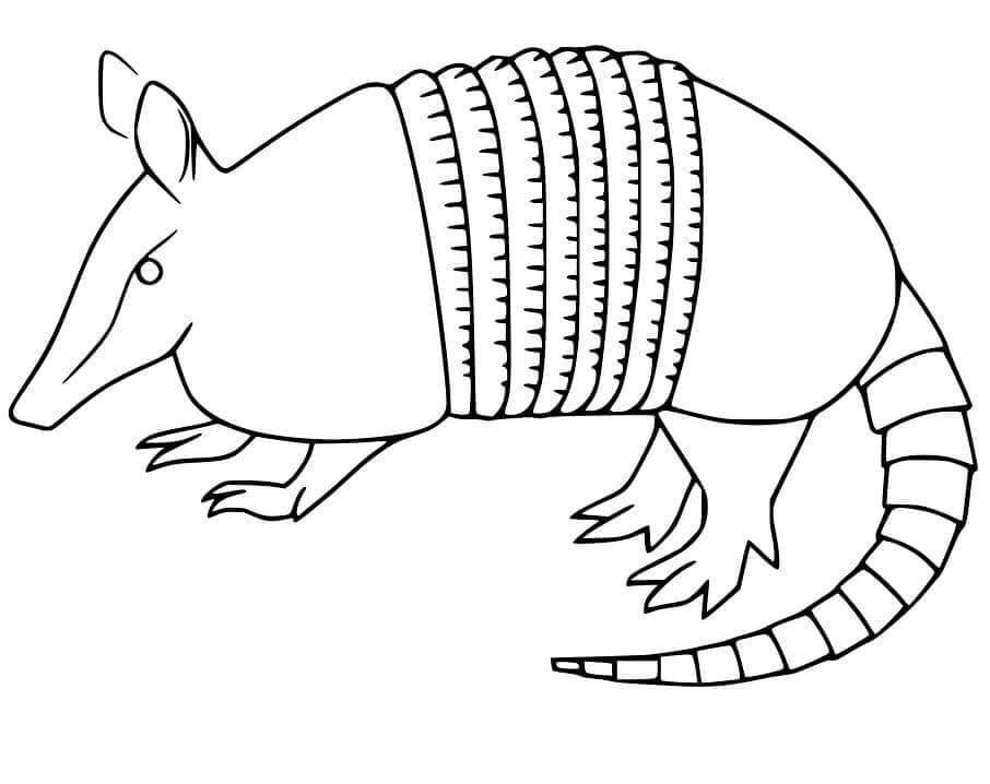 Dibujo de Impresionante Armadillo para Colorear