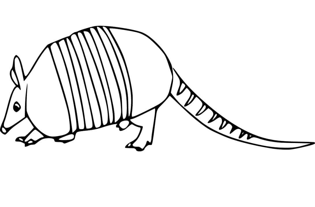 Dibujo de Lindo Armadillo para Colorear