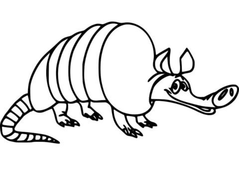 Dibujo de Lindo Armadilo Divertido para Colorear