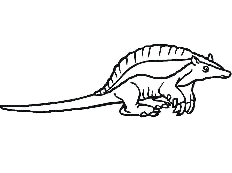 Dibujo de Pequeo Armadillo para Colorear