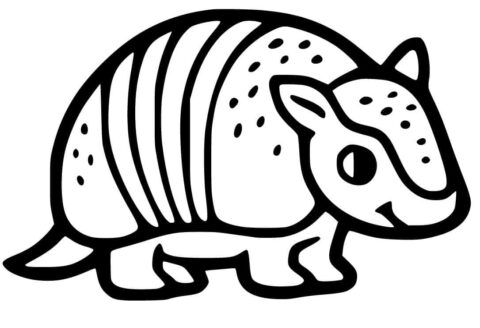 Dibujo de Pequeo Armadilo Sonriendo para Colorear