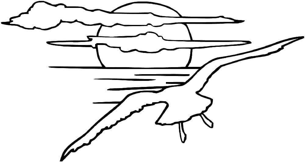 Dibujo de Gaviota al Atardecer para Colorear