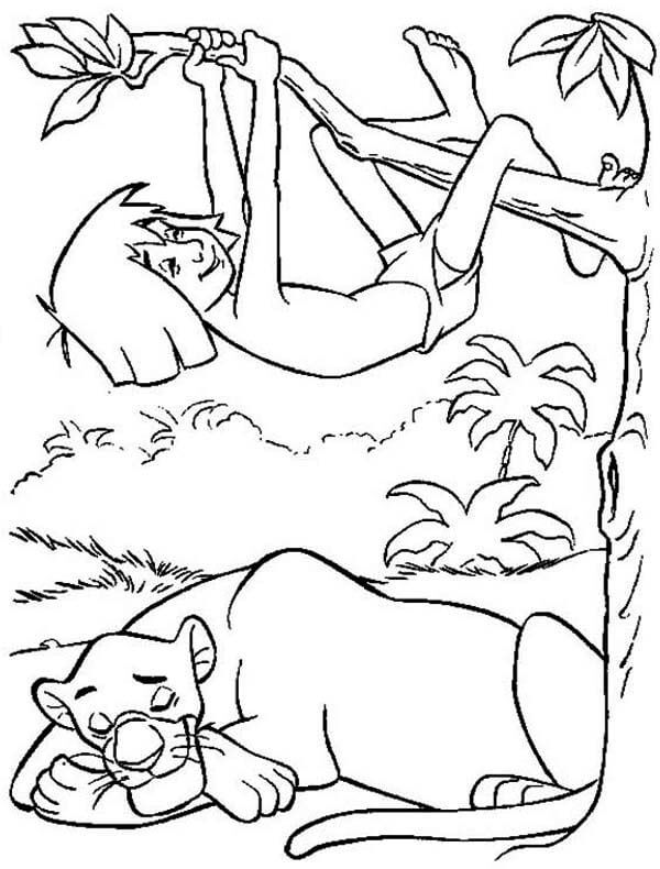 Dibujo de Bagheera Durmiendo y Escalada Mowgli para Colorear
