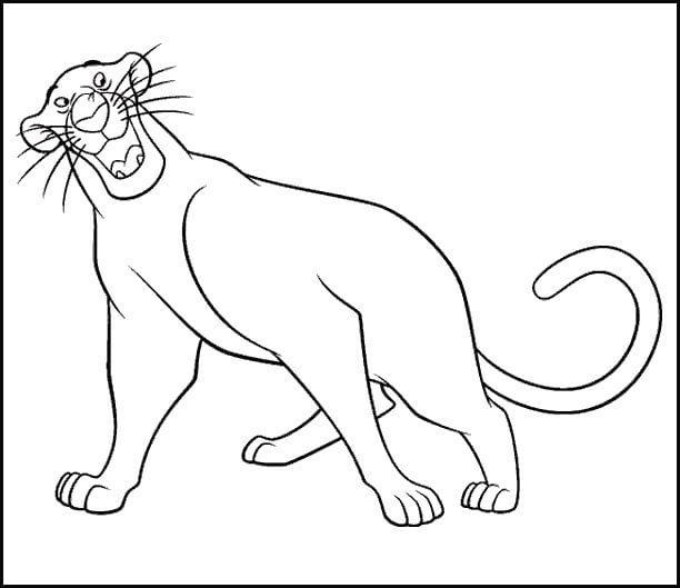 Dibujo de Diversin Bagheera para Colorear