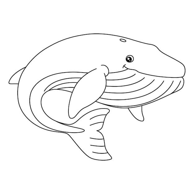 Dibujo de Ballena Adorable para Colorear