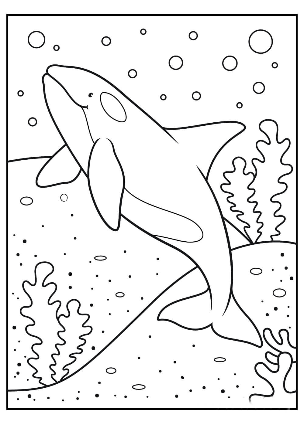 Dibujo de Ballena básica para Colorear