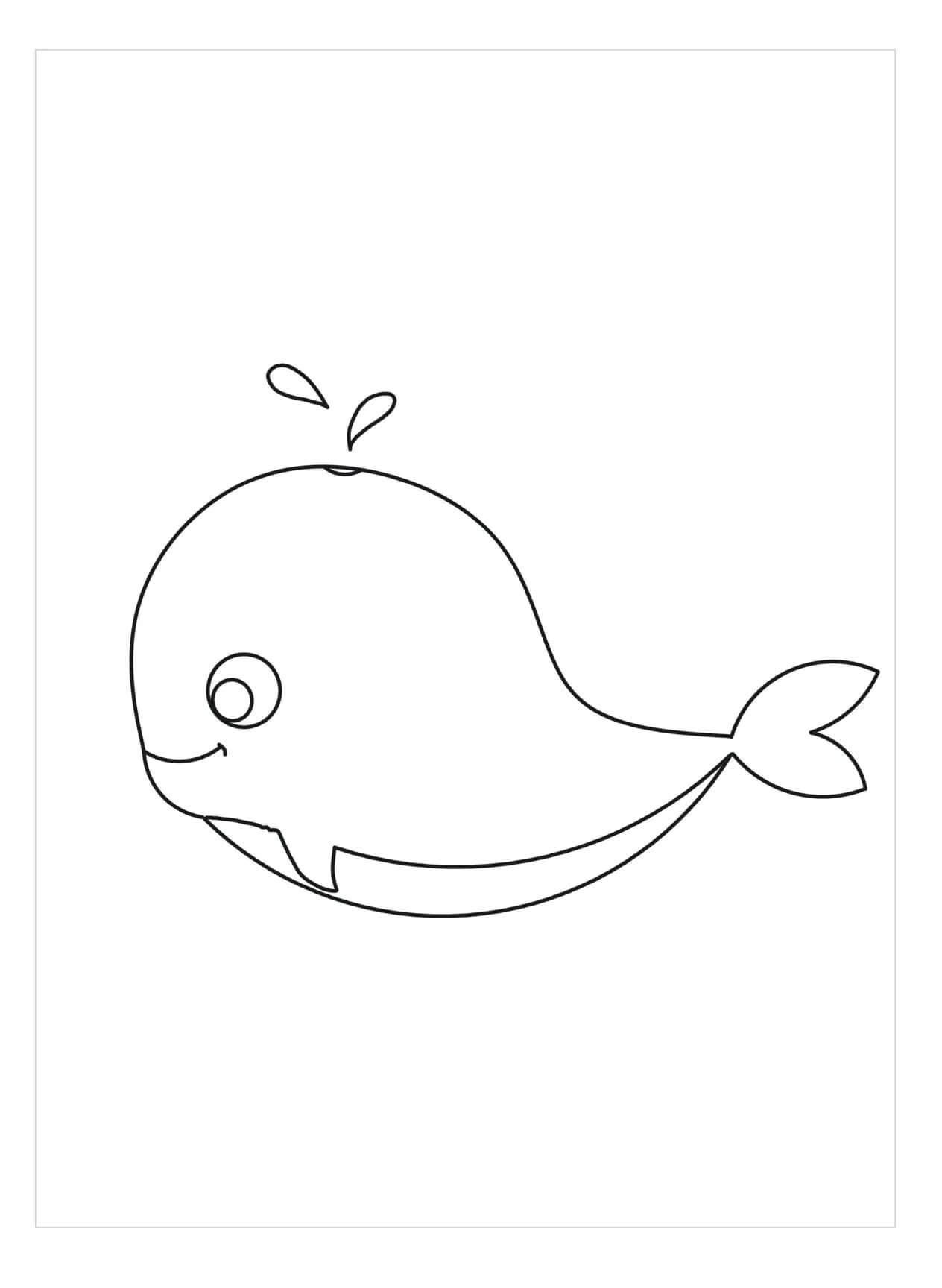 Dibujo de Ballena Bonita para Colorear