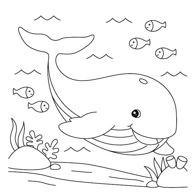 Dibujo de Ballena Divertida con Tres Peces para Colorear