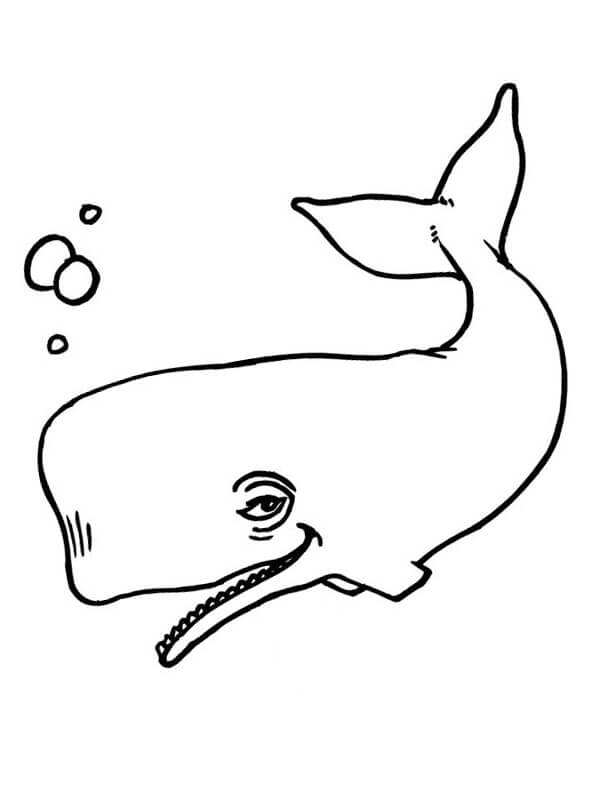 Dibujo de Ballena Divertida para Colorear