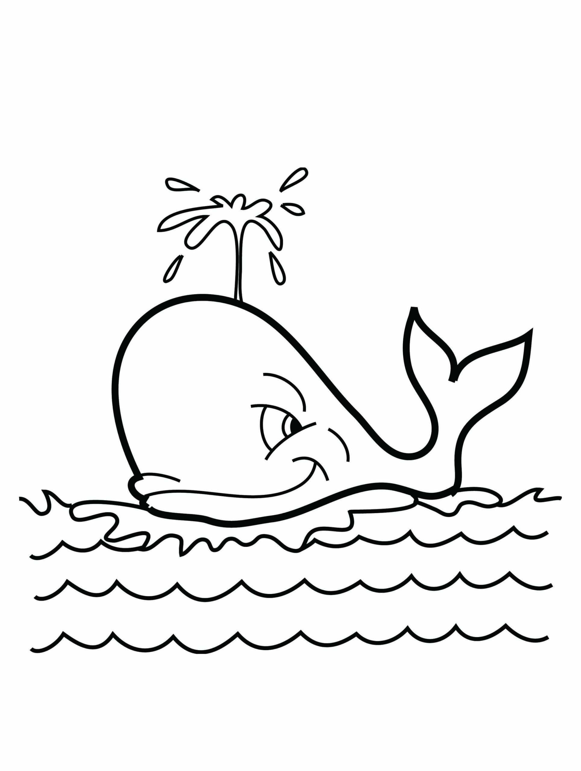 Dibujo de Ballena Normal Scaled para Colorear