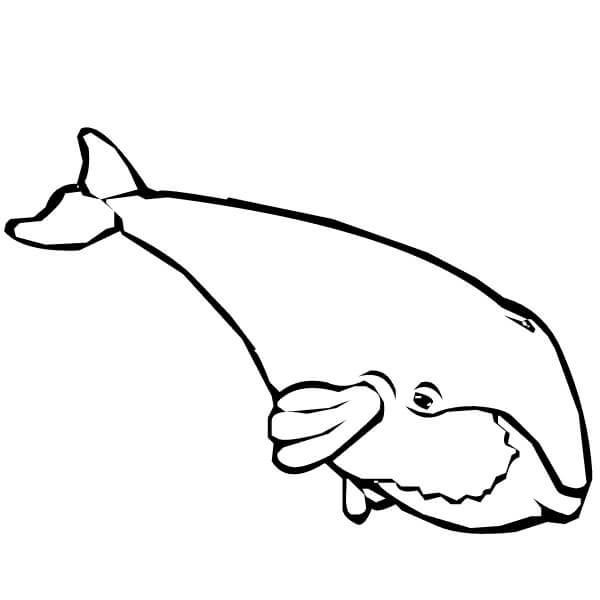 Dibujo de Ballena de Dibujo Simple para Colorear