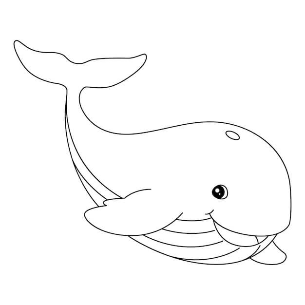 Dibujo de Ballena de la Diversion para Colorear