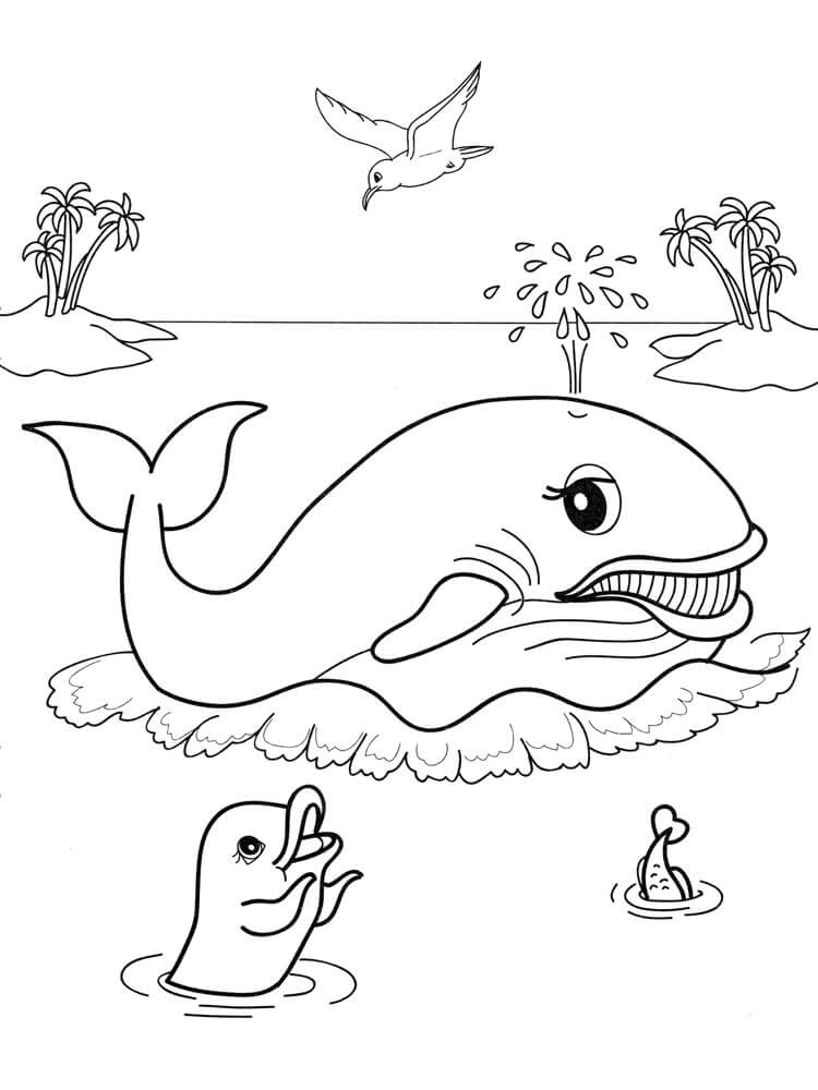 Dibujo de Ballena y Animal Marino para Colorear